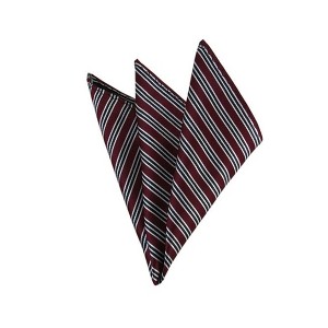TheDapperTie - Men's Stripe Woven 10 Inch x 10 Inch Pocket Squares Handkerchief - 1 of 3