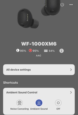 Sony WF-1000XM6 True Wireless Bluetooth Noise Cancelling Earbuds