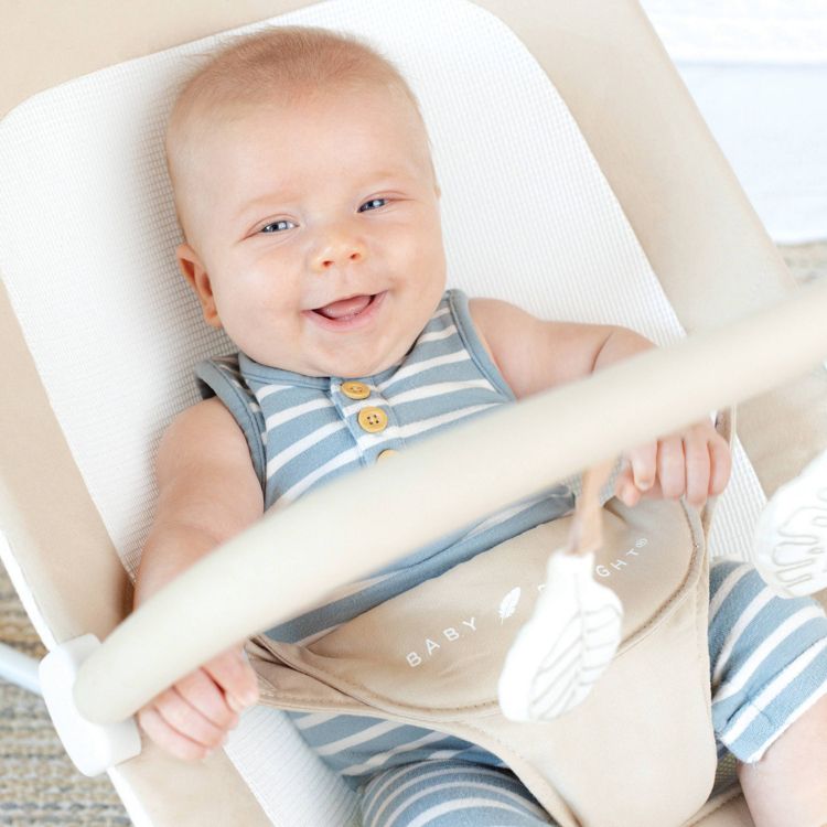 Baby Delight Highland Portable Bouncer, 4 of 5