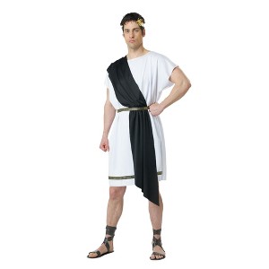 Party Toga Adult Costume - 1 of 4