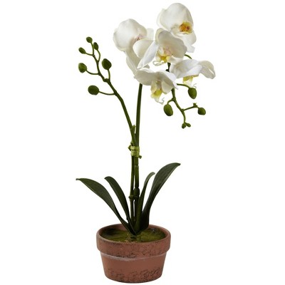 Set of 4 Multicolor Faux Orchid Plants in Clay Pots