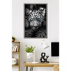 Trends International Reinders: Animals - Blue Eyed Leopard Framed Wall Poster Prints - 2 of 4