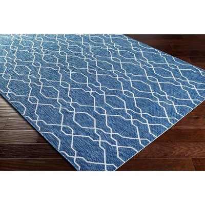 Valentijn Blue and White Synthetic Fur Stain-Resistant Area Rug