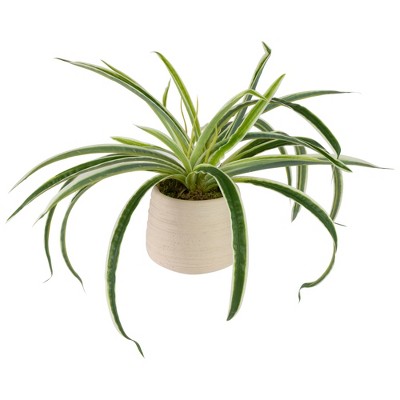 Artificial Dracaena Plant in Beige Ceramic Pot, 20 inches
