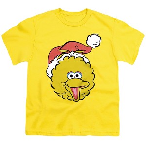 Boys' Sesame Street Christmas Santa Hat Big Bird Face T-Shirt - 1 of 4