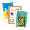Make Believe Ideas Flash Cards Pre-K - 3 of 3