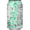 Just Ice Tea Organic Dragon Green Tea  - Case of 12/12 fz - 4 of 4