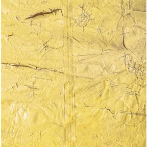 David Hammons - (Hardcover) - 1 of 1