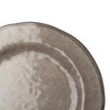 tagltd 10.75 in. Veranda Cracked Glazed Solid Melamine Plastic Dinnerware Plates Set of 4 Dishwasher Safe Indoor Outdoor Grey - 2 of 4