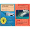 Discovery All Star Readers: I Am a Shark Level 2 - by Lori C Froeb (Paperback) - 3 of 3