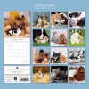 2026 Square Wall Calendar, Cats & Kittens, 16-Month Animals Theme with 180 Reminder Stickers (12x12 In) - 4 of 4