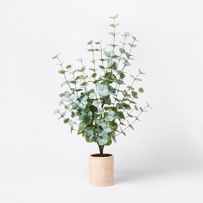 Eucalyptus : Artificial Plants & Greenery for Home Decor: Target