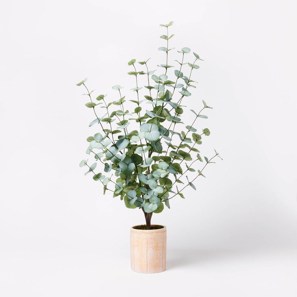 Large Artificial Eucalyptus Plant in Pot - Threshold™ designed with Studio McGee: Faux Moss, Ceramic Base, Indoor Decor