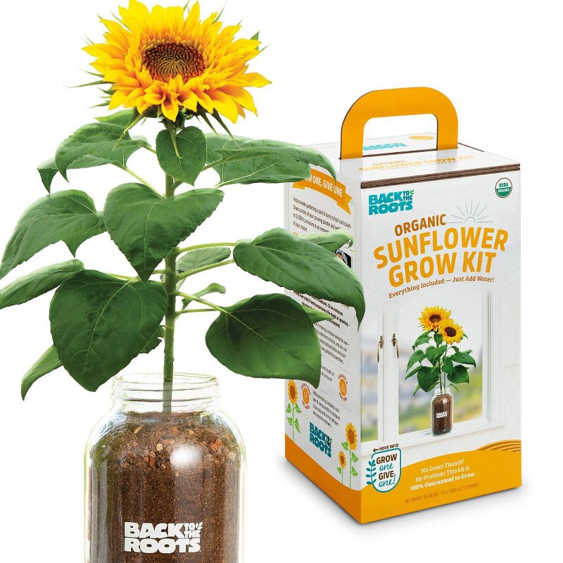 Back to the Roots Organic Sunflower Grow Kit, 1 of 14