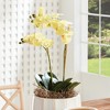 Plum & Post Phalaenopsis Orchid Artificial Plant Drop-In - 4 of 4