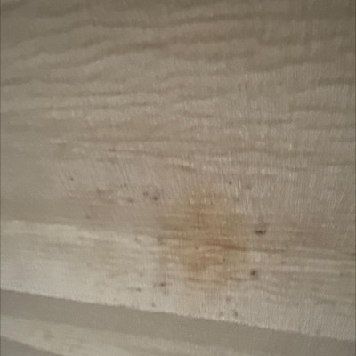 Guest review image 1 of 4, zoom in