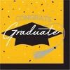 Creative Converting Graduate School Spirit Yellow Tableware and Decor Kit 18ct - 4 of 4