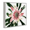 Stupell Industries Close Up Flower Anther Photograph Framed Giclee Art - 2 of 4