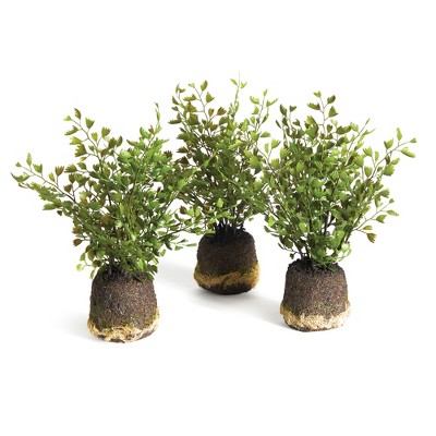 Plum & Post Maidenhair Drop-Ins Set of 3