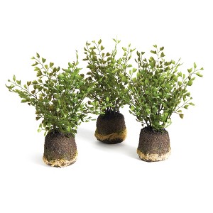 Plum & Post Maidenhair Drop-Ins Set of 3 - 1 of 4