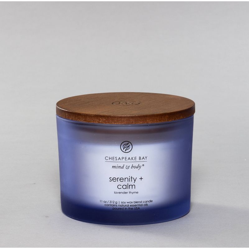 Jar Candle Serenity and Calm - Chesapeake Bay Candle, 1 of 12