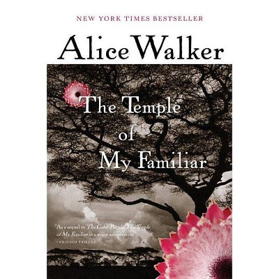 The Temple of My Familiar - by  Alice Walker (Paperback)