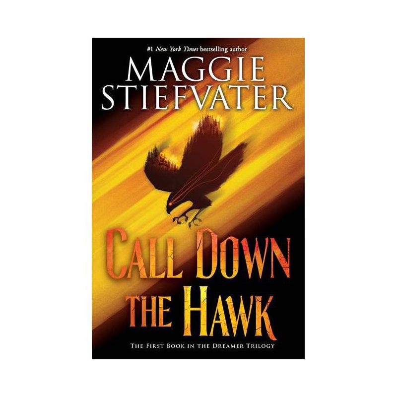 Call Down the Hawk (the Dreamer Trilogy, Book 1) - by  Maggie Stiefvater (Hardcover), 1 of 2