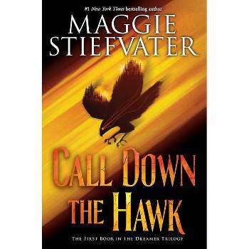 Call Down the Hawk (the Dreamer Trilogy, Book 1) - by  Maggie Stiefvater (Hardcover)