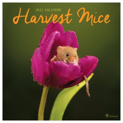 2022 Wall Calendar Harvest Mice - The Time Factory