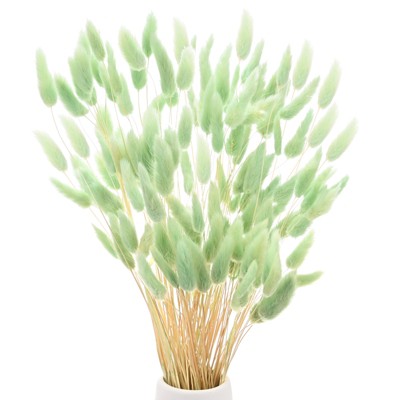 Unique Bargains Artificial Dried Flowers Realistic Look Pampas Bunny Tails Grass 17 Inch