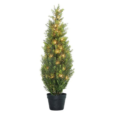 Arborvitae in Grower's pot with 50 Clear Lights (36")