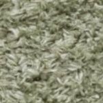 sage/white