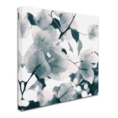 Trademark Fine Art -Beata Czyzowska Young 'About a Flower' Canvas Art