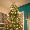 Twinkle Star 33FT 150 Incandescent Mini String Lights, UL Certified Indoor & Outdoor Lights for Christmas and Decoration - 3 of 4