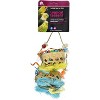 Prevue Pet Products Prevue Pet Products Tropical Teasers Up & Away Bird Toy 62511, Multi, 8.5 x 3.5" - 2 of 4