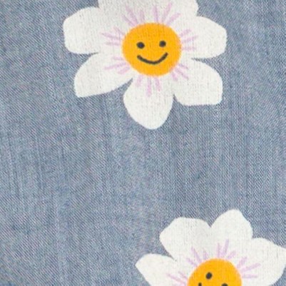 light blue, daisies