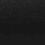 washington state cougars