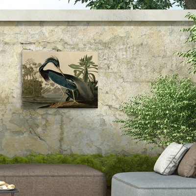 Louisiana Heron All-Weather Outdoor Canvas Wall Art