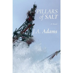 Pillars of Salt - by  J A Adams (Paperback) - 1 of 1