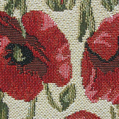 poppy flower