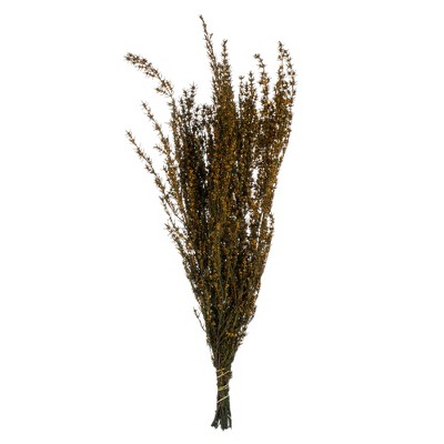 Vickerman 22"-26" Grabia Bundle, Preserved