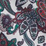 holiday paisley