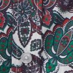 holiday paisley