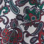 holiday paisley