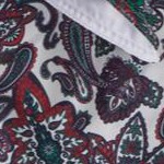 holiday paisley