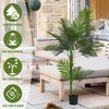 Kumasinova Artificial Palm Tree, Double-Stem Loose Tail, 18-Leaf Potted Fake Plant, Maintenance-Free Artificial Plants Indoor/Outdoor - 3 of 4