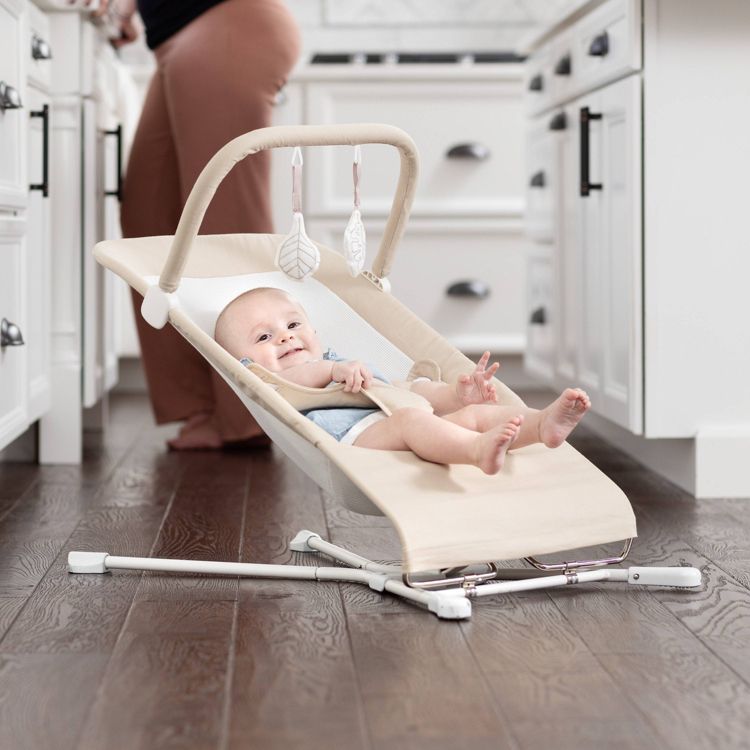 Baby Delight Highland Portable Bouncer, 5 of 5