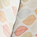 fall foliage / yellow
