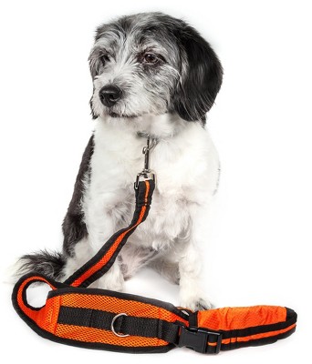 Target retractable 2024 dog leash