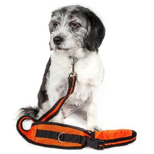 Pet Life Echelon Hands Free And Convertible 2-In-1 Training Dog Leash And Pet Belt With Pouch - 1 of 4